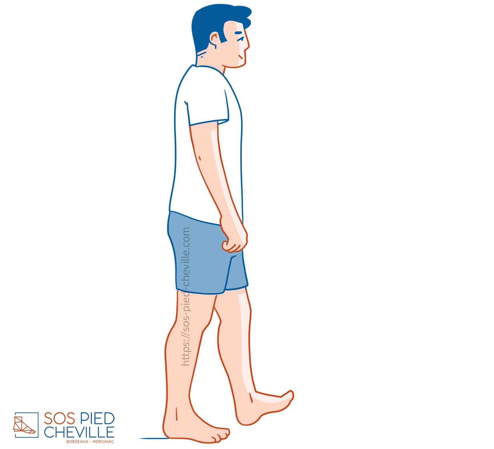 Auto-rééducation : exercice 7