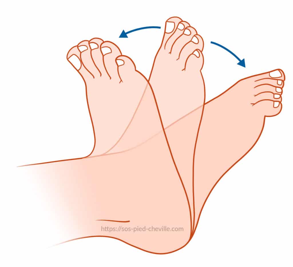 Schéma de mobilisation des orteils des deux pieds en flexion et extension après une arthrodèse de cheville